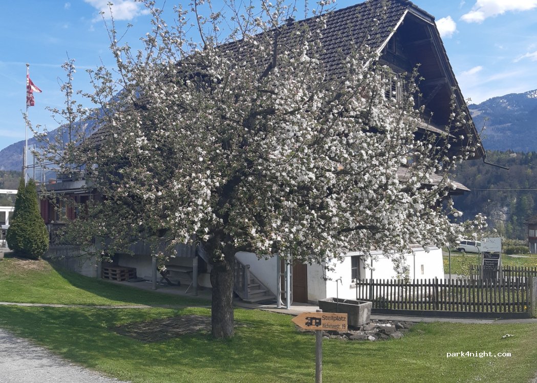 (6055) Alpnach - 19 Wichelseestrasse — foto 2