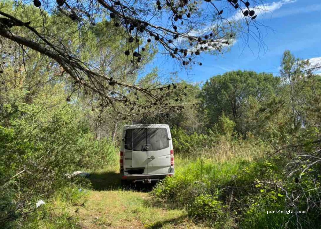 (23000) Zadar - D306 — foto