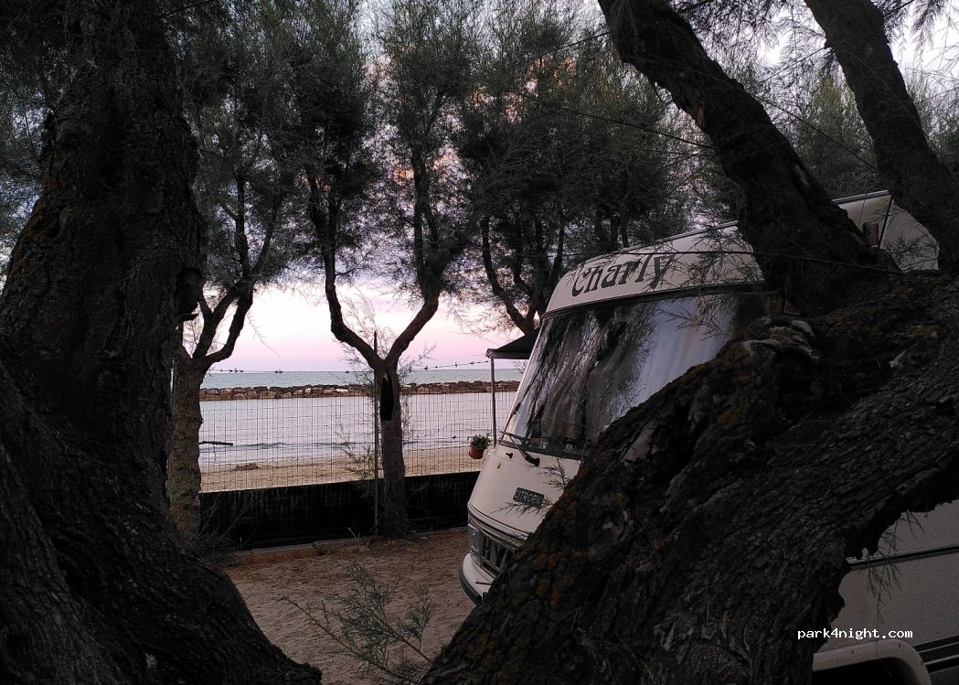 Camping Led Zepellin — foto 3