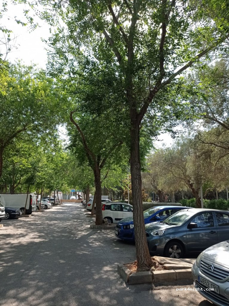 (07181) Calvià - 43 Carretera Andratx — foto 3