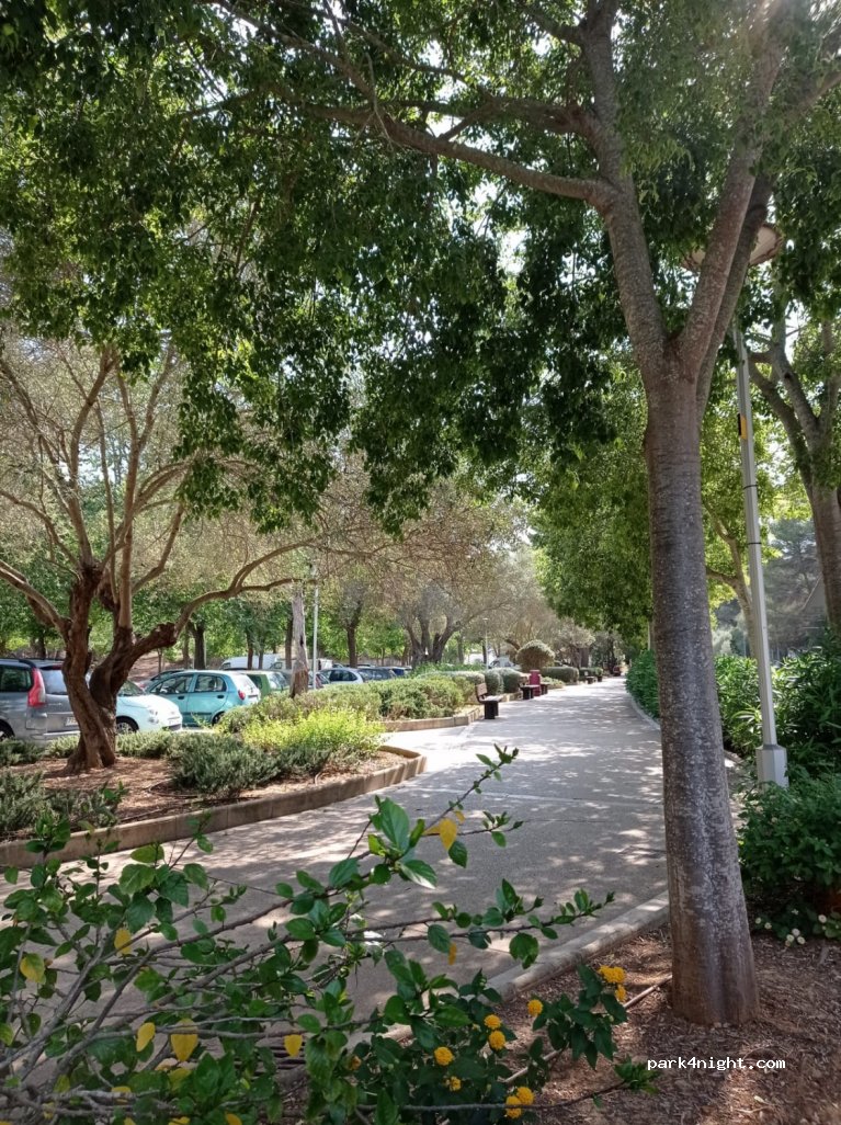 (07181) Calvià - 43 Carretera Andratx — foto 4