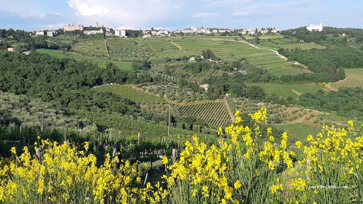 (53011) Castellina in Chianti - 21 Località Casanovina — foto