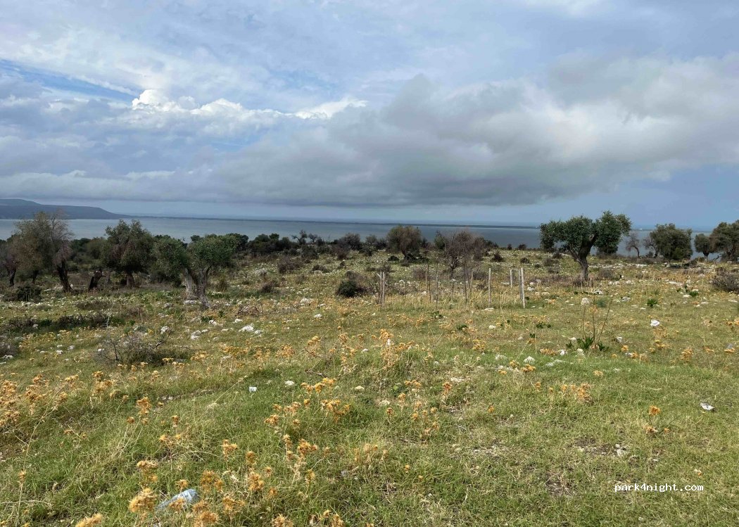 (71010) Cagnano - Unnamed Road — foto 2