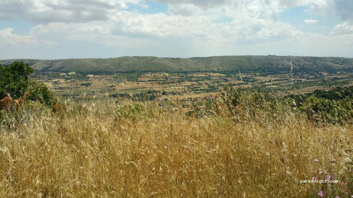 (71013) San Giovanni Rotondo - Strada Provinciale 43 — foto 2