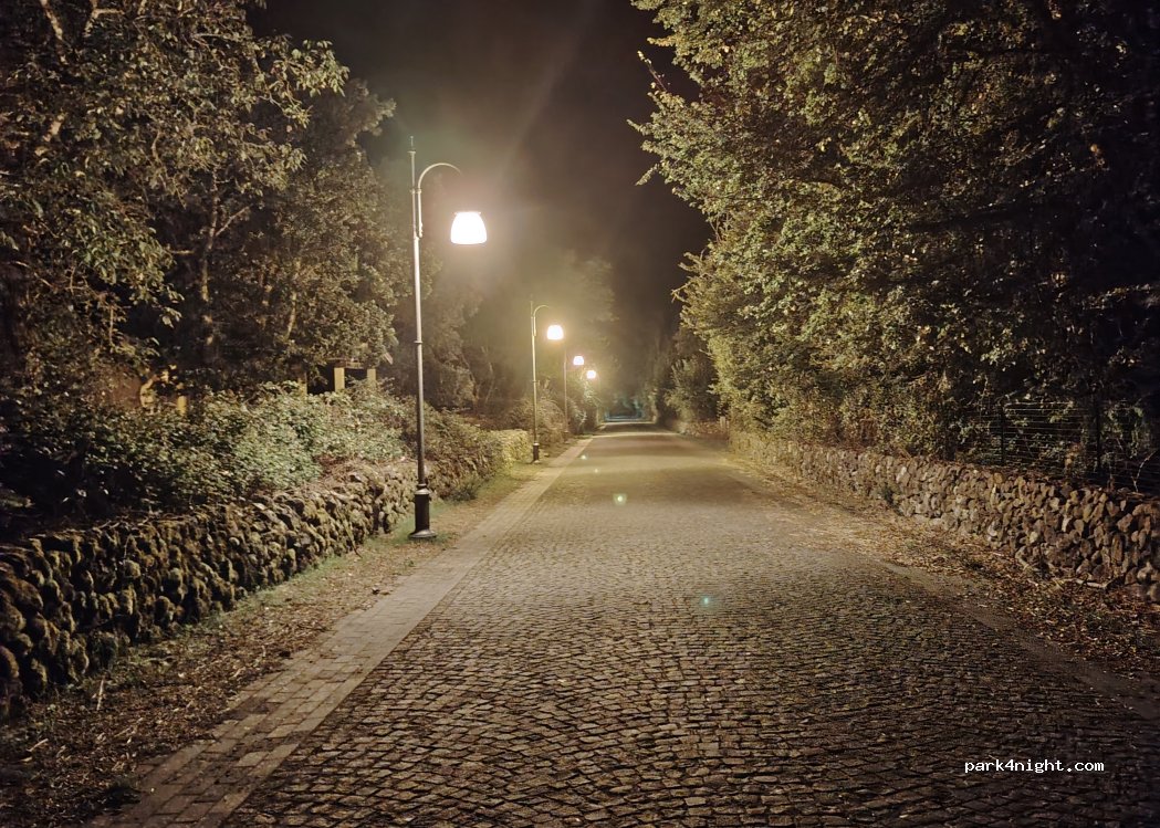 (08011) Bolotana - Strada Badde Salighes — foto 5