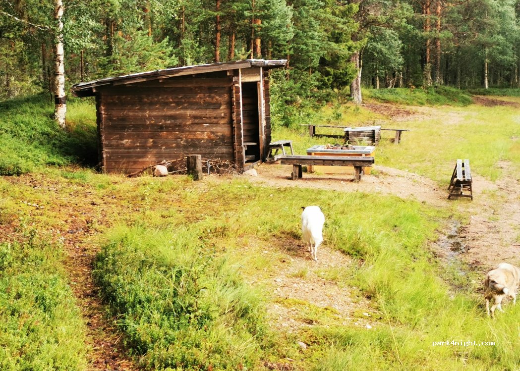 (930 81)  - Unnamed Road — foto 4