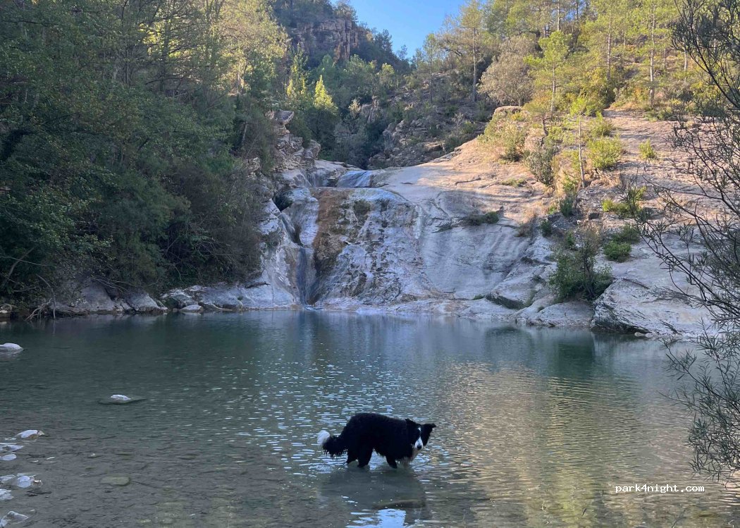 (25793) Coll de Nargó - L-511 — foto 3