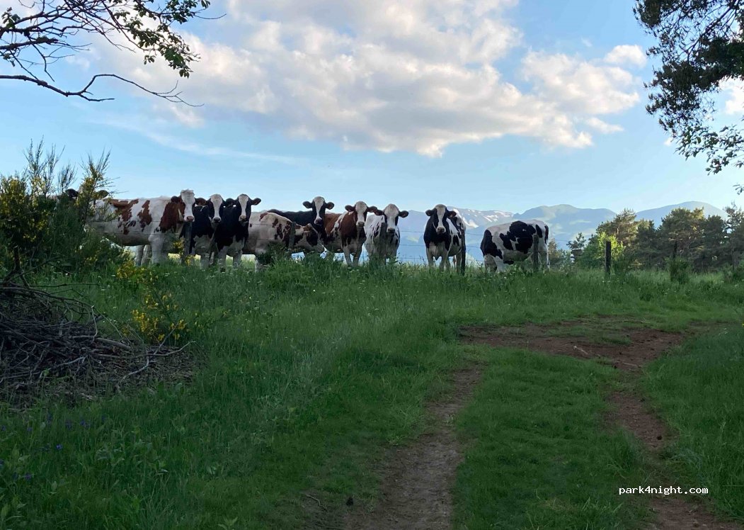 (63790) Murol - Unnamed Road — foto