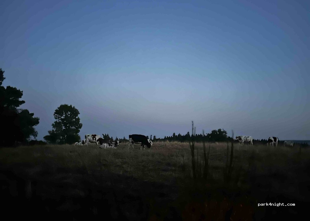 (63790) Murol - Unnamed Road — foto 5
