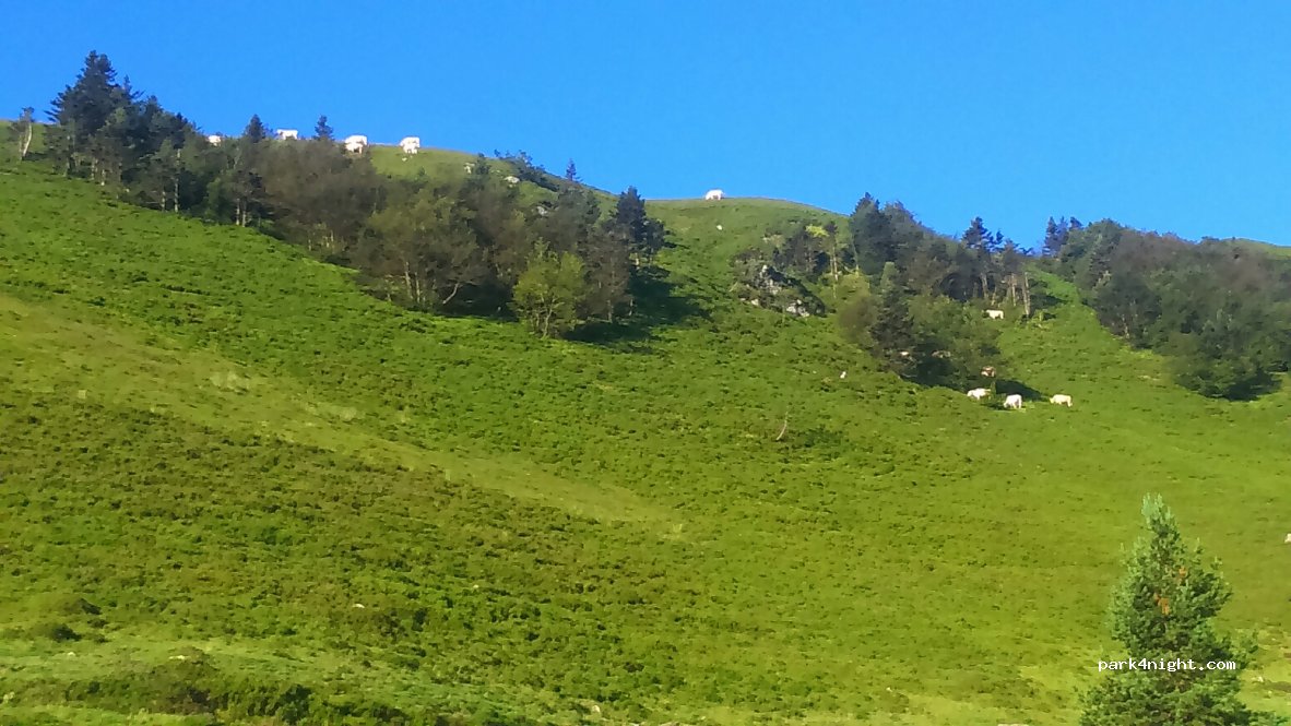 (64570) Lanne-en-Barétous - Isarbe — foto 2