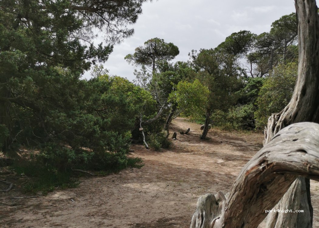 Camping de Villata — foto 2