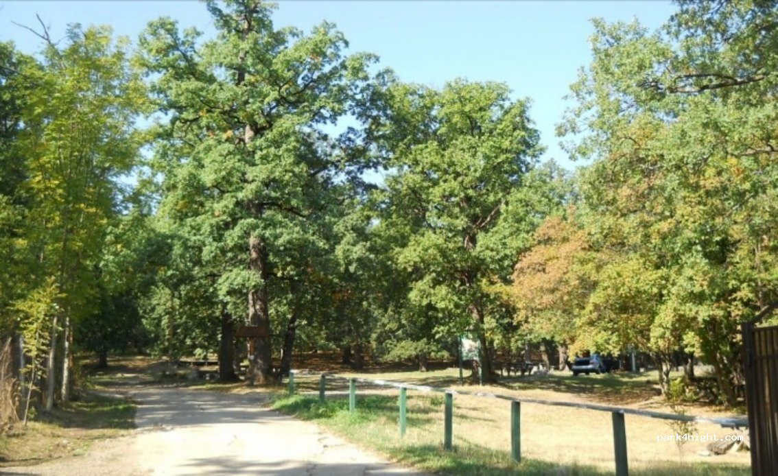() Bistrița - Strada Fazanariei — foto 2