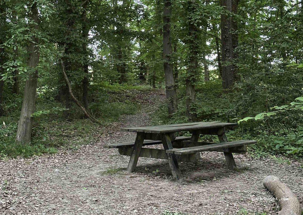 (78460) Chevreuse - Chemin de Milon — foto 4