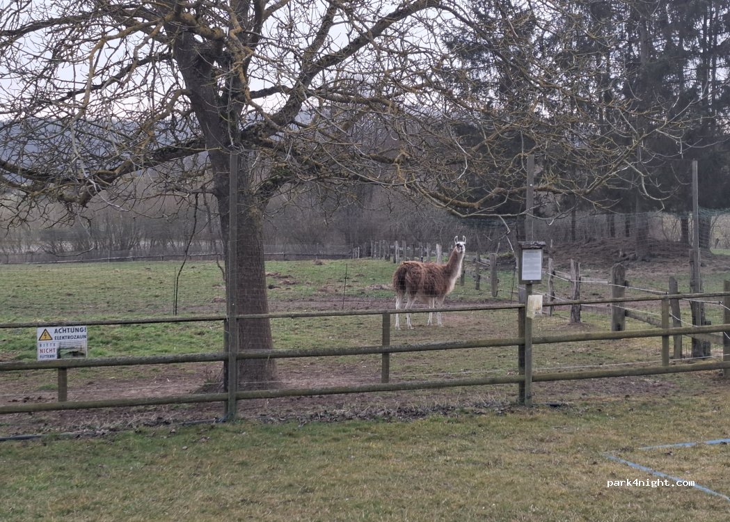 Camping zur Wolfsmühle — foto 4