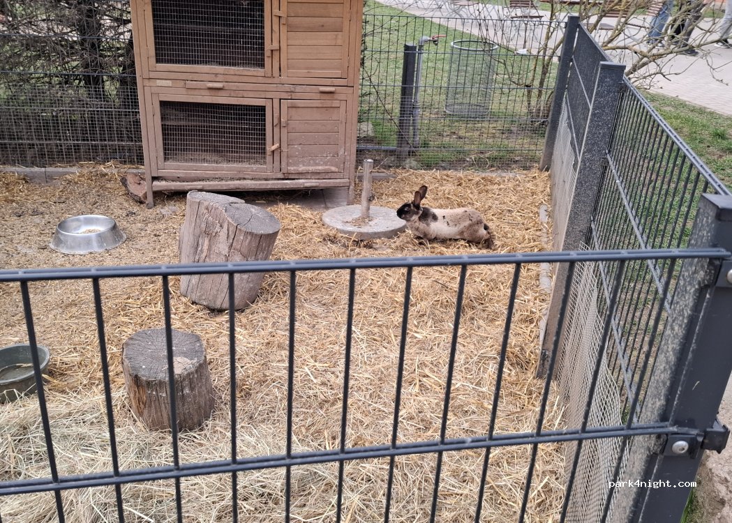 Camping zur Wolfsmühle — foto 5