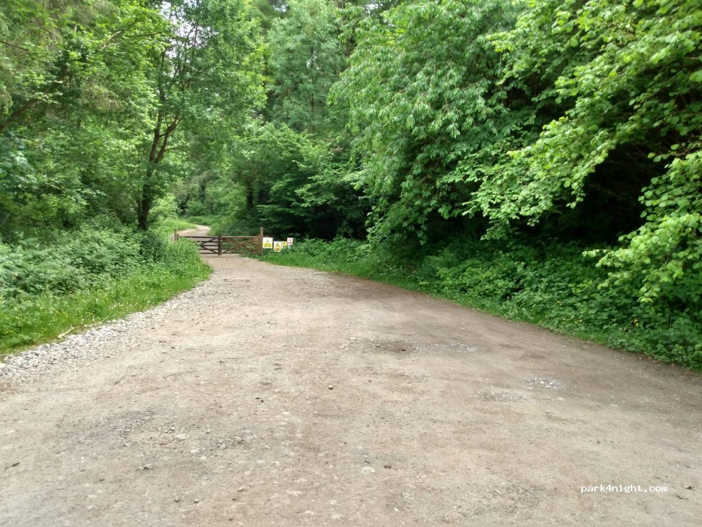 () Bellview - Unnamed Road — foto
