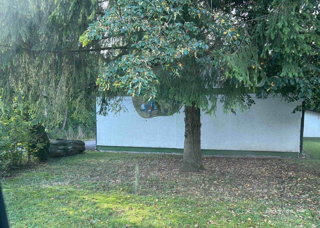 (89165) Auwald - — foto