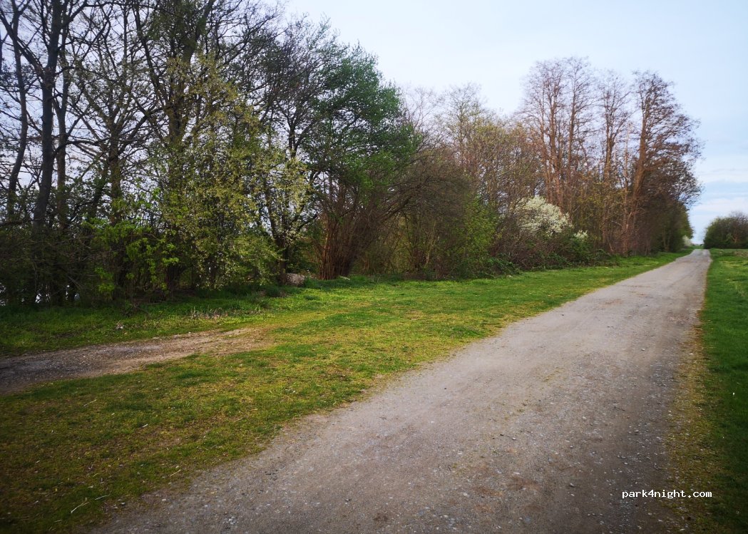 (38176) Wendeburg - 10 Marina Bortfeld — foto 4