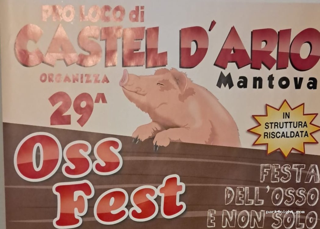 (46033) Castel D'ario - 10 Via di là dell'Acqua — foto 4