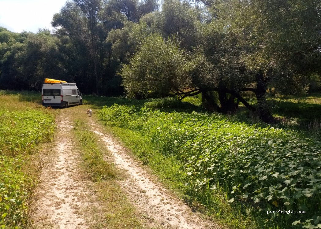 (02023) Sant'Ippolito - Unnamed Road — foto