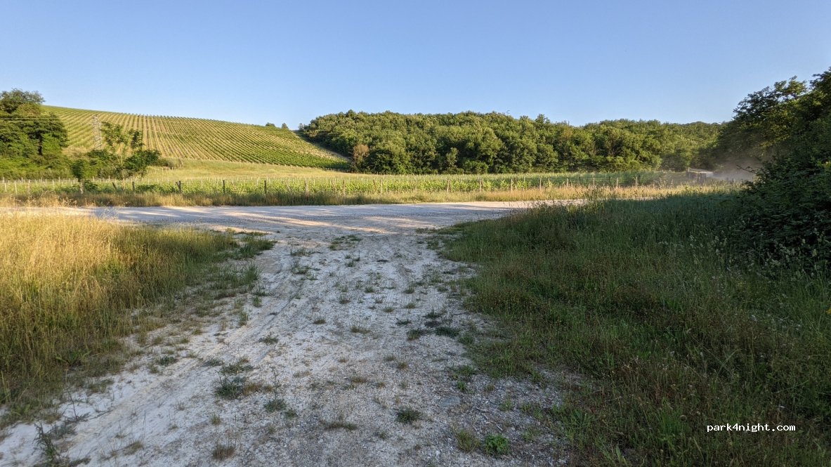 (53019) Selvole - Strada Comunale 17 — foto