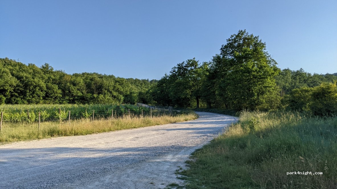 (53019) Selvole - Strada Comunale 17 — foto 2