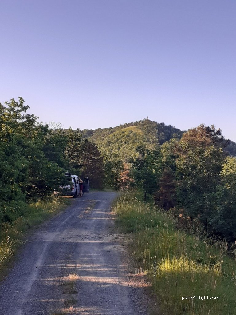(15060) Albera Ligure - Strada Provinciale 165 — foto 2