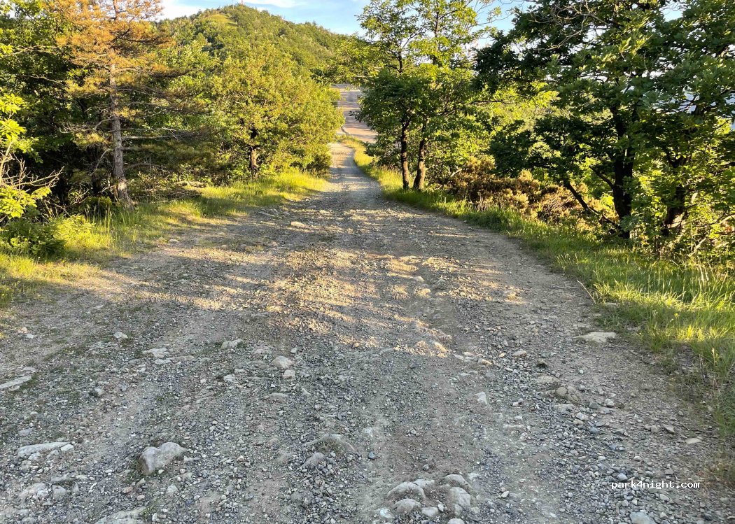 (15060) Albera Ligure - Strada Provinciale 165 — foto 4