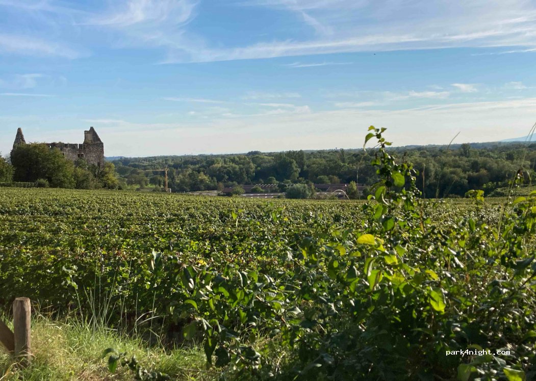 (79235) Vogtsburg im Kaiserstuhl - 4 am Kirchberg — foto