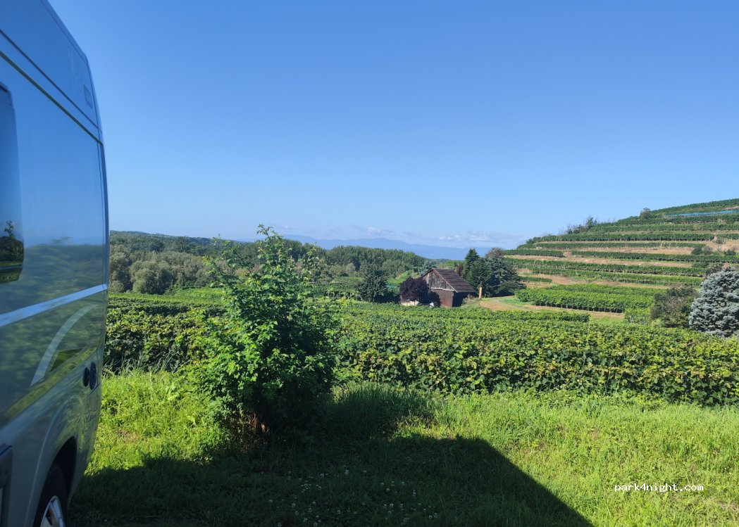 (79235) Vogtsburg im Kaiserstuhl - 4 am Kirchberg — foto 4