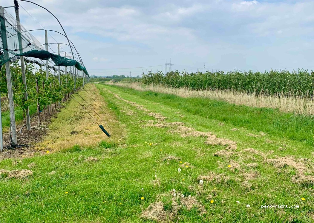 (21723) Hollern-Twielenfleth - 4 Bassenfleth — foto 3