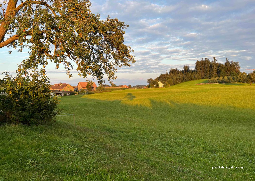 Egger Hof — foto 4