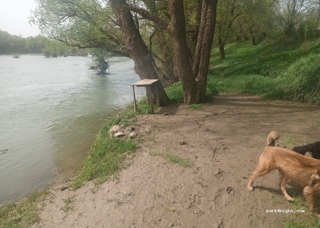 (10414) Lijevi Degoj - 15 Lijevi Degoj — foto 3