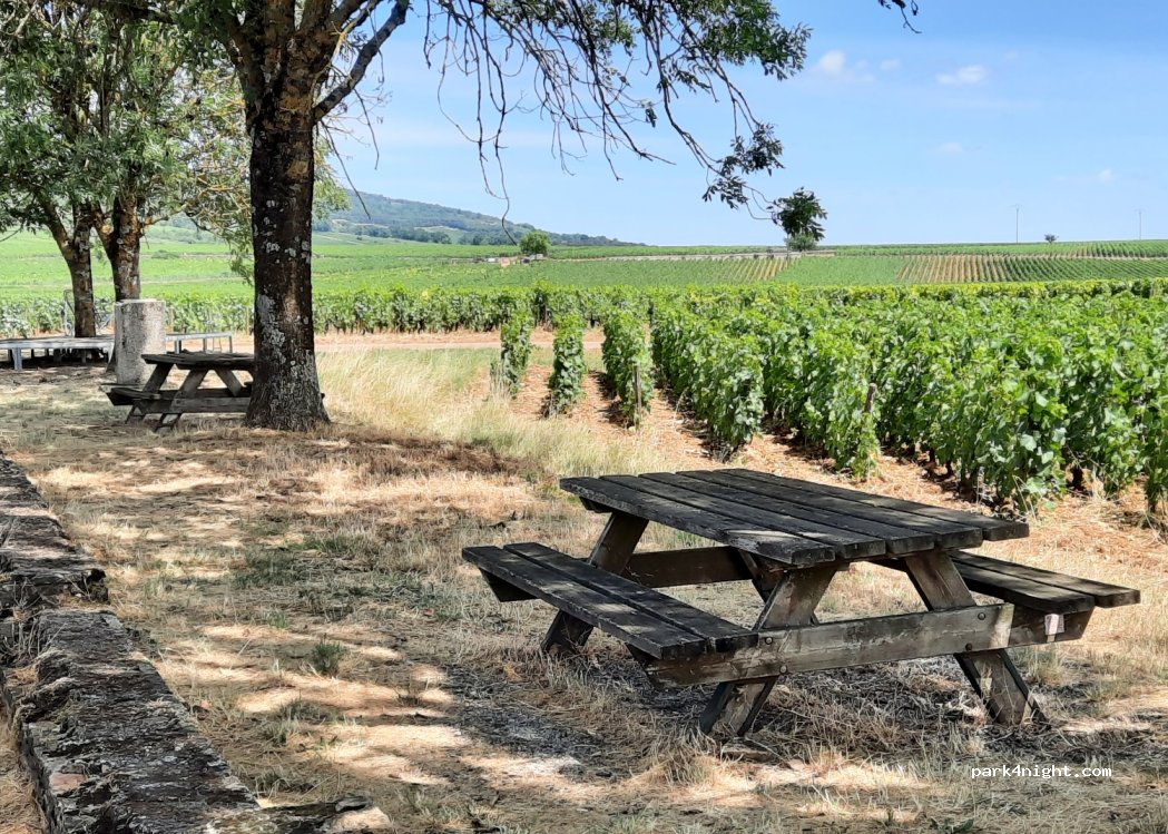 (21190) Chassagne-Montrachet - 85 Route nationale — foto 3