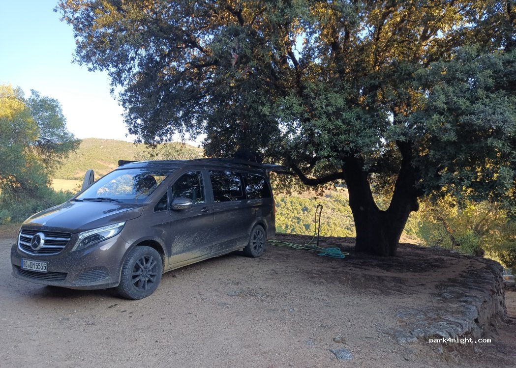 (07026) Olbia - Via San Tommaso — foto