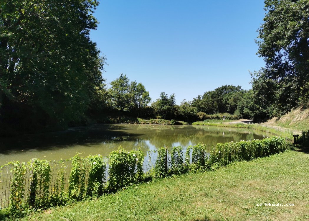 (53320) Ruillé-le-Gravelais - La Trousselière — foto 4