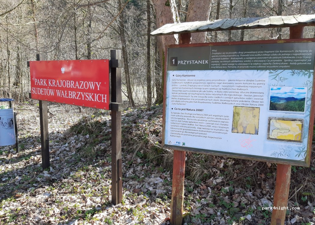 (58-351) Sokołowsko - 2A Główna — foto 3