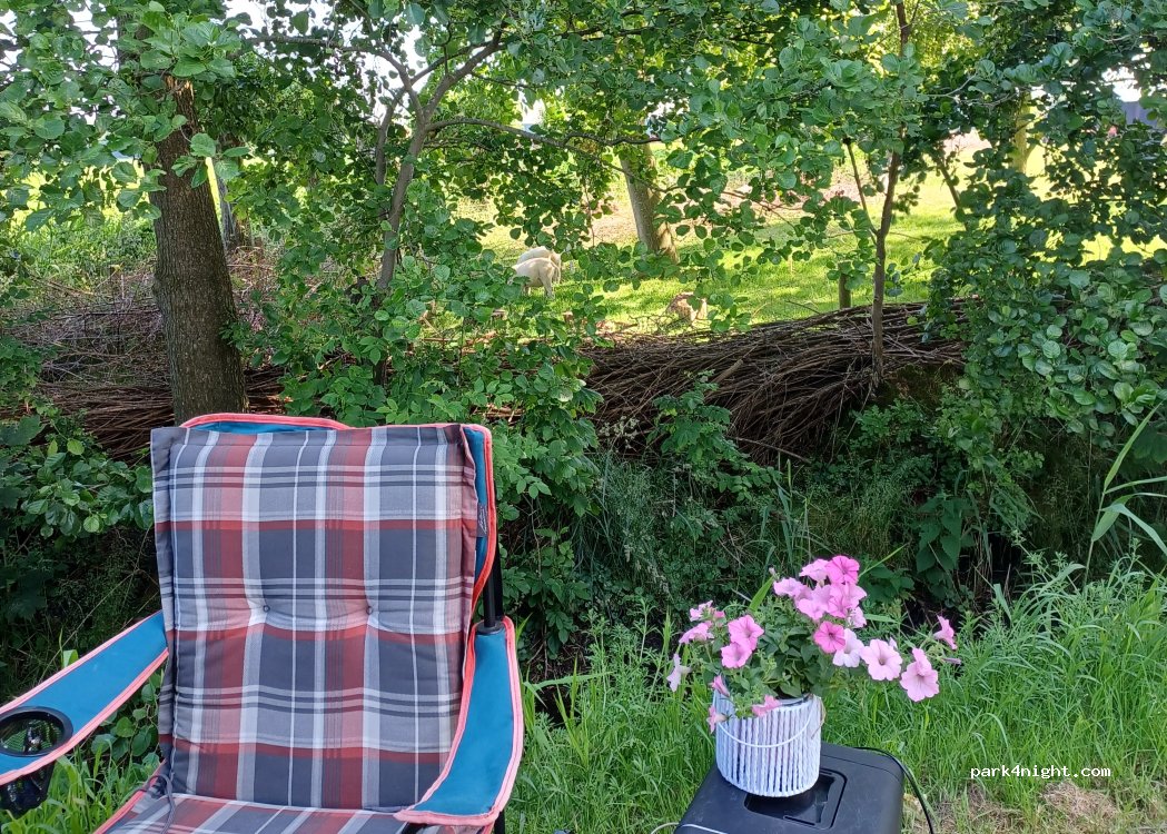 Camperplek Oal Dyck — foto 5