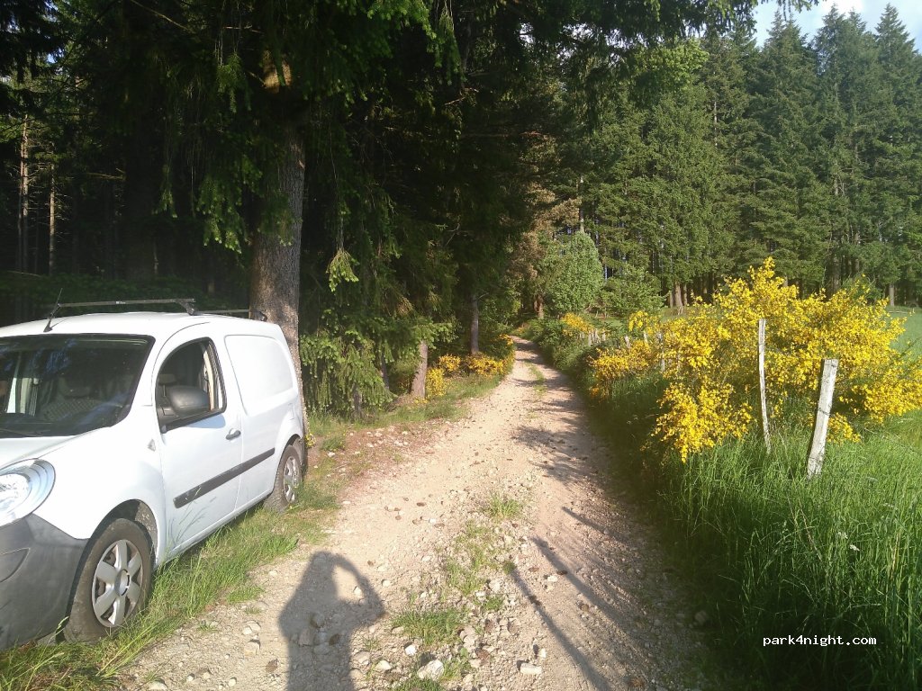 (43220) Dunières - D501 — foto