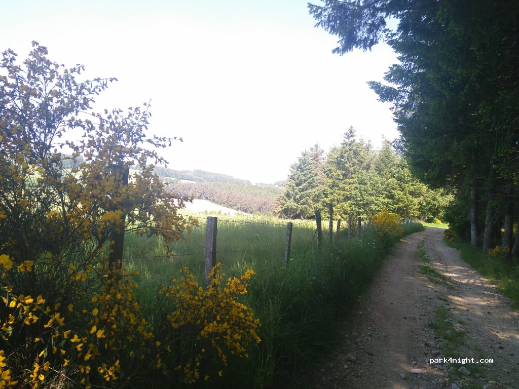 (43220) Dunières - D501 — foto 3