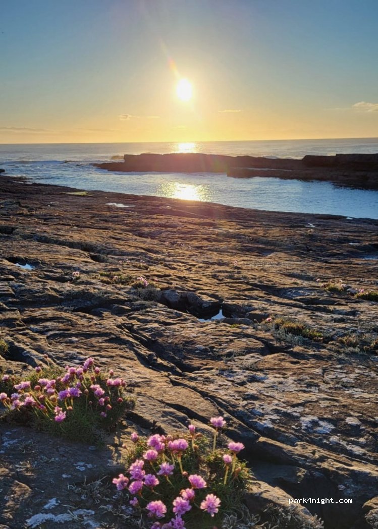 ()  - Coast Road — foto 4