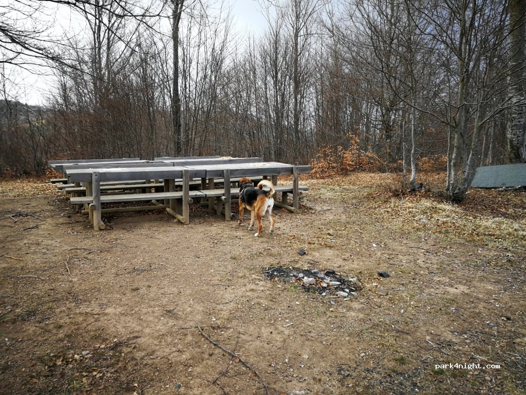 (29020) Coli - Strada di San Agostino — foto