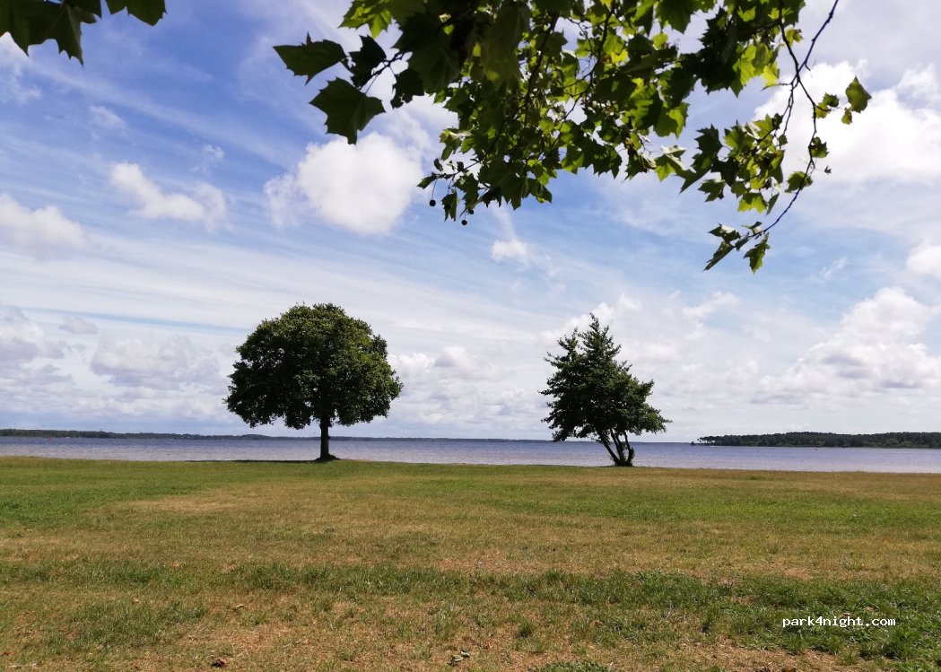 (33680) Lacanau - 3 Chemin des forestiers — foto 2