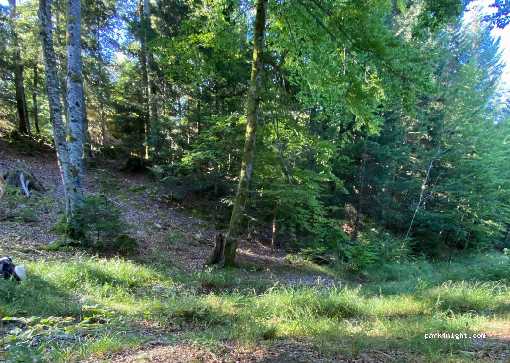 (39130) Bonlieu - — foto