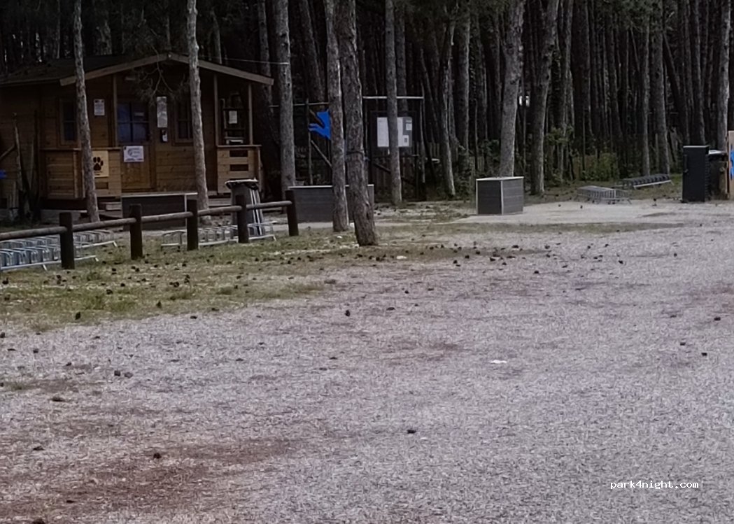 (33054) Lignano Sabbiadoro - 15 Raggio di Mezzodì — foto 3