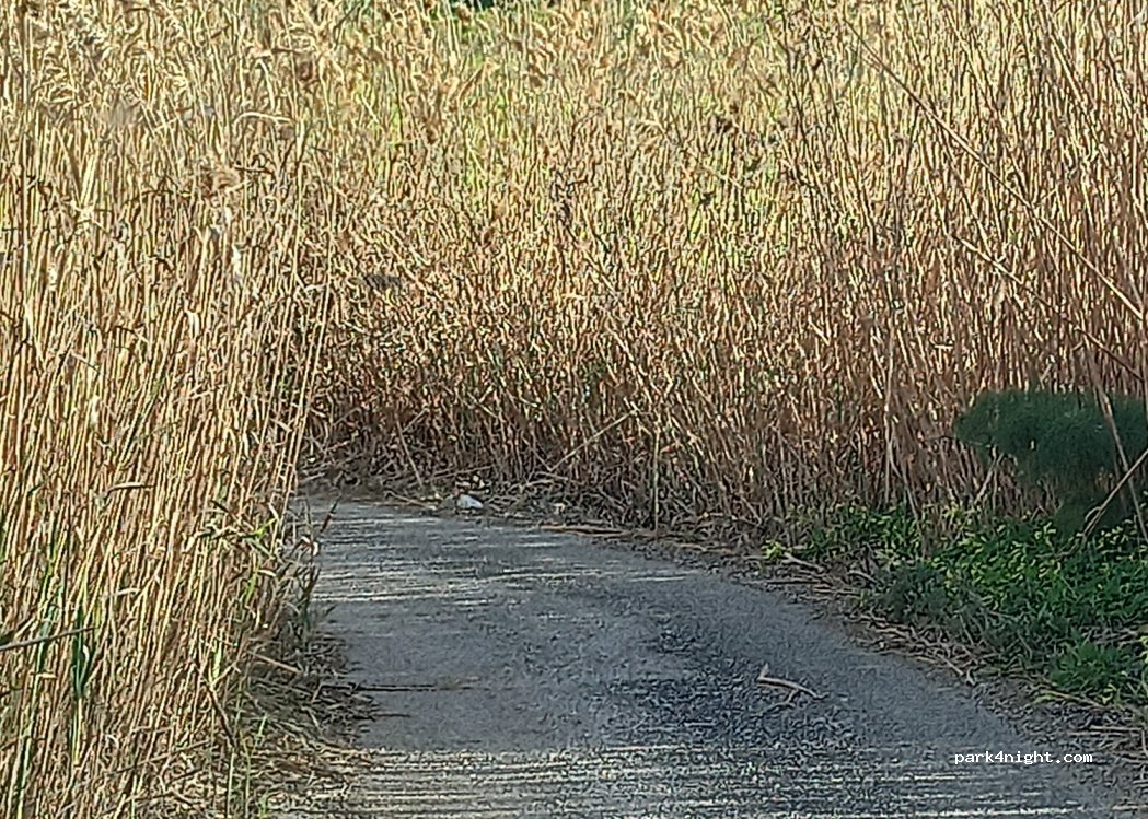 (90020) Sclafani bagni - Strada Provinciale 58 — foto 3