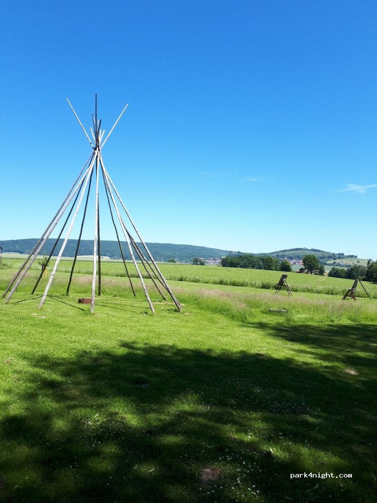 (32839) Steinheim - 11 Hagedorn — foto