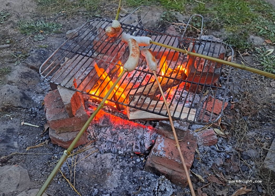 (32839) Steinheim - 11 Hagedorn — foto 5