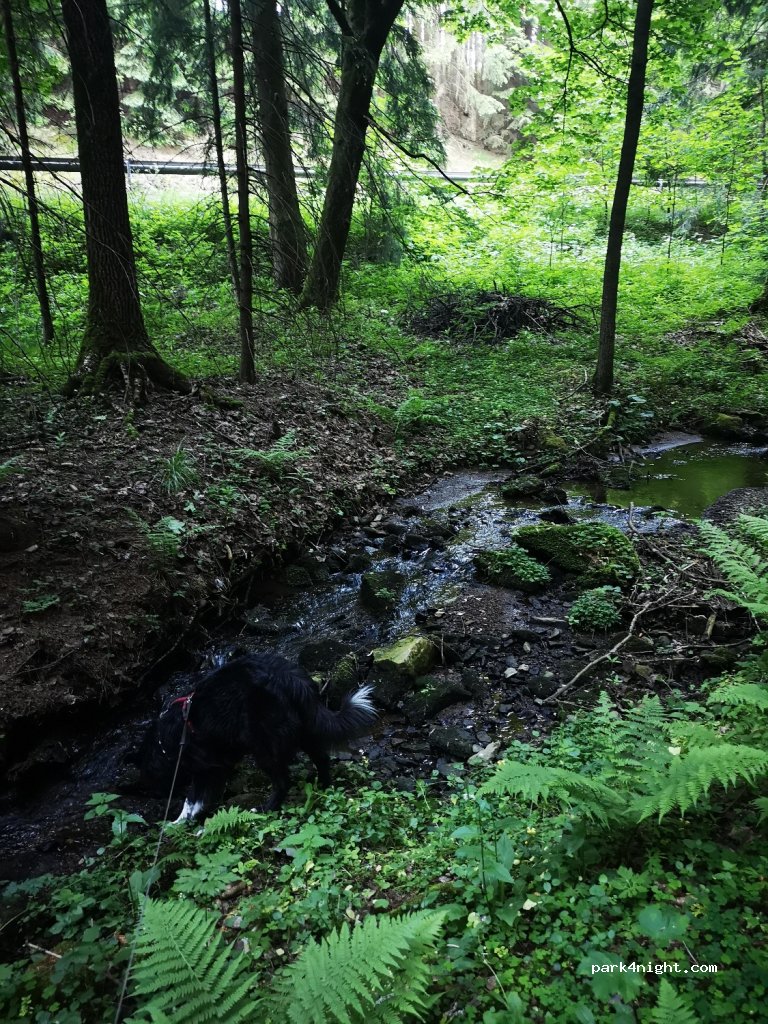 (09548) Kurort Seiffen/Erzgeb. - 28 Wettinhöhe — foto 3