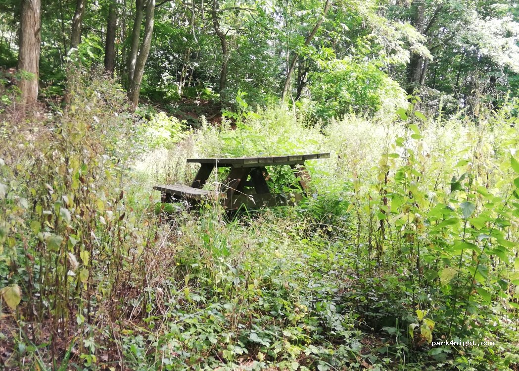 (67140) Andlau - D62 — foto